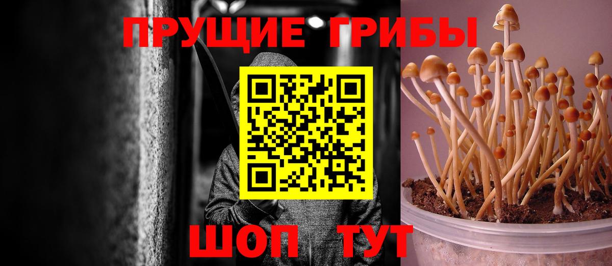 Псилоцибиновые грибы мицелий  Вход с VPN  Псилоцибиновые грибы GOLDEN TEACHER  Москва 